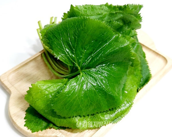 제철을 맞은 봄나물(산나물) BEST 8